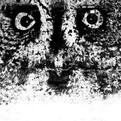 Direwolves : Demo MMXI